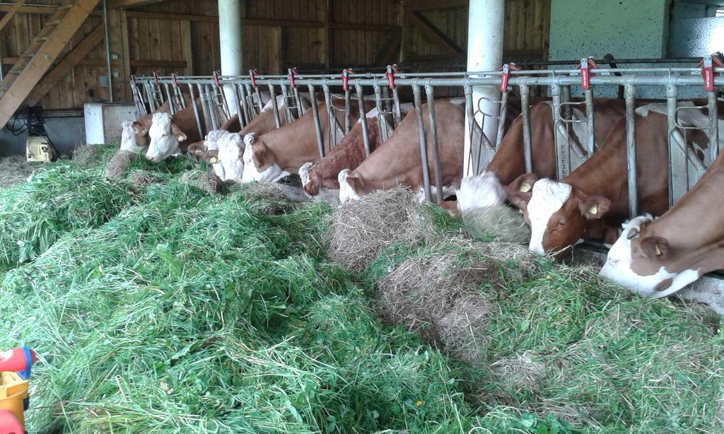 Ferienwohnung Grubinger Unterach am Attersee Zewnętrze zdjęcie
