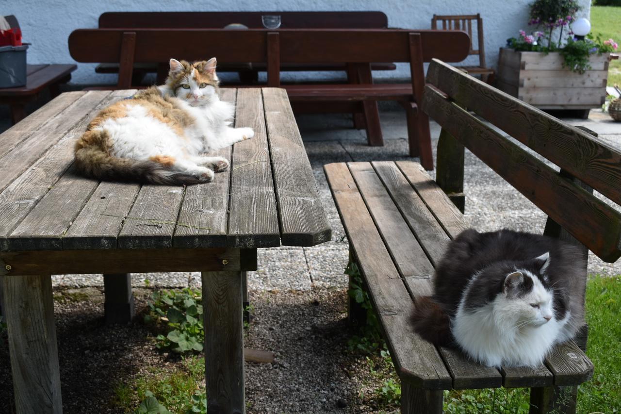 Ferienwohnung Grubinger Unterach am Attersee Zewnętrze zdjęcie