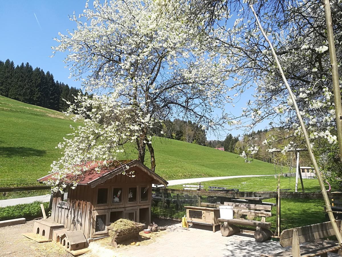 Ferienwohnung Grubinger Unterach am Attersee Zewnętrze zdjęcie